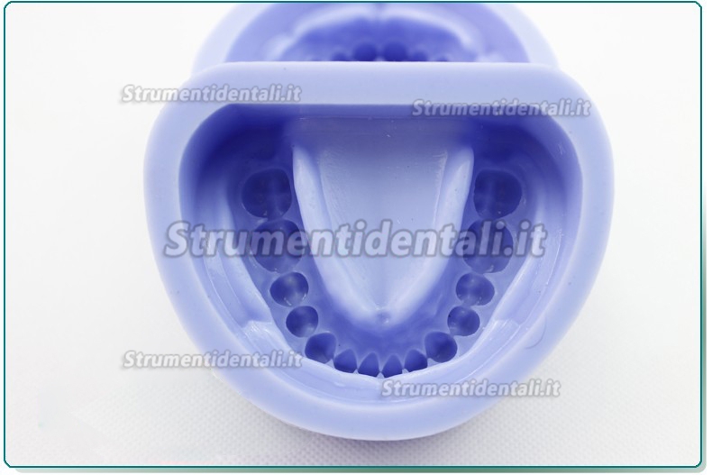 ENOVO Modello dente del silicone blocco preparazione della cavità